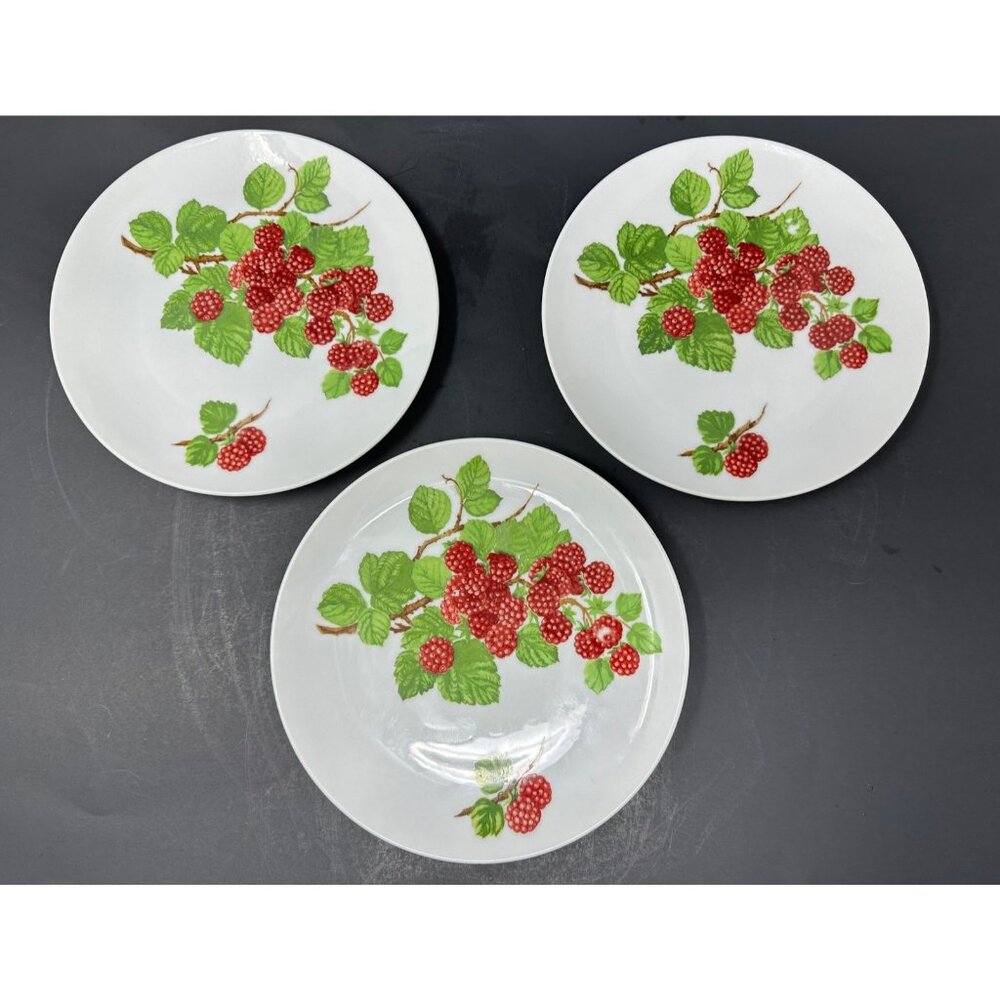Vtg 1970s SEYMOUR MANN EDA FRAMBOISIER Salad Dessert Plates Set of 3 Raspberries